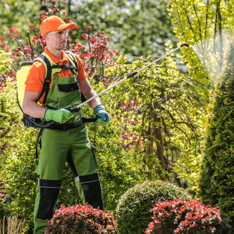 a man spraying a plant